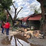 A disaster team of the Department of Social Welfare and Development (DSWD) Field Office I inspects a house damaged by a fallen tree due to Typhoon Betty.